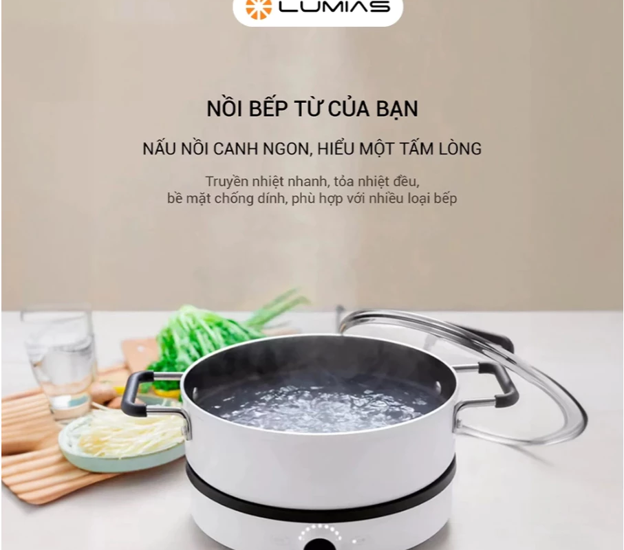 Khám Phá Chiếc Bếp Từ Mini Lumias LK24-220B: Tính Năng Vượt Trội Trong Tầm Giá