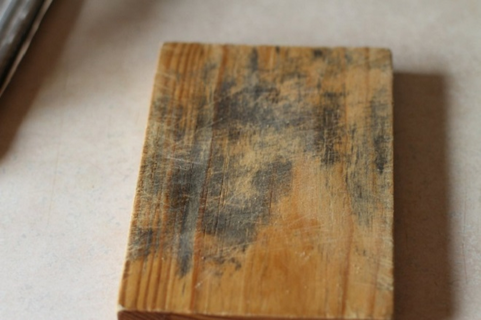 Nguy Cơ Từ Chiếc Thớt Gỗ Trong Bếp: Điều Bạn Cần Biết Để Bảo Vệ Sức Khỏe