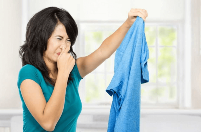 Giải Quyết Vấn Đề Quần Áo Ẩm Ơt Mùa Nồm: Tại Sao Máy Sấy Lại Cần Thiết?